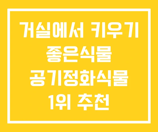 거실에서 키우기 좋은식물 공기정화식물 1위 추천