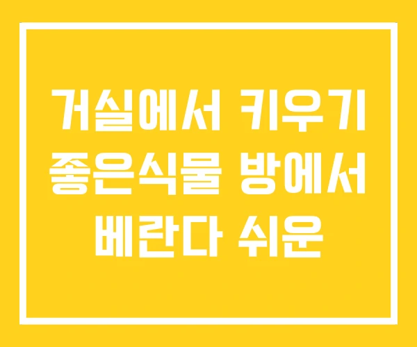 거실에서 키우기 좋은식물 방에서 베란다 쉬운