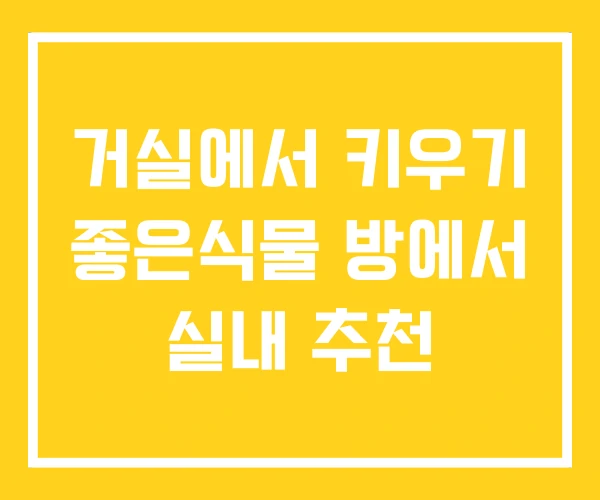 거실에서 키우기 좋은식물 방에서 실내 추천