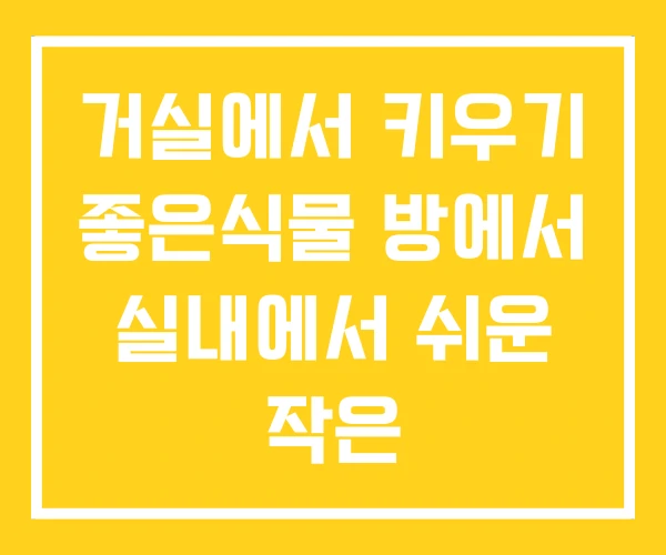 거실에서 키우기 좋은식물 방에서 실내에서 쉬운 작은