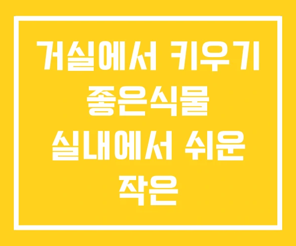 거실에서 키우기 좋은식물 실내에서 쉬운 작은 거실에서 키우기 좋은식물 실내에서 쉬운 작은