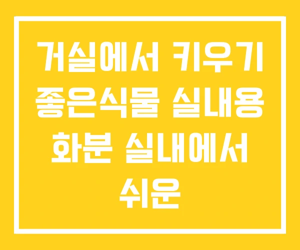 거실에서 키우기 좋은식물 실내용 화분 실내에서 쉬운 거실에서 키우기 좋은식물 실내용 화분 실내에서 쉬운