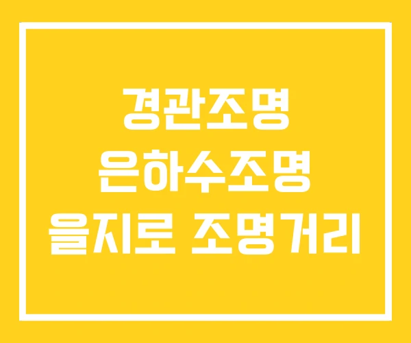 경관조명 은하수조명 을지로 조명거리
