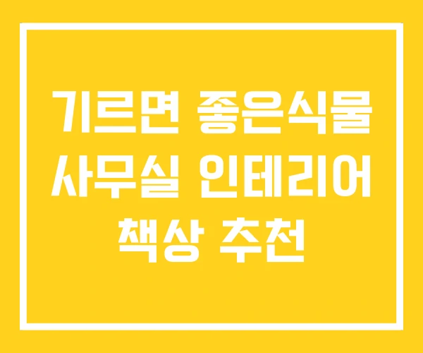 기르면 좋은식물 사무실 인테리어 책상 추천