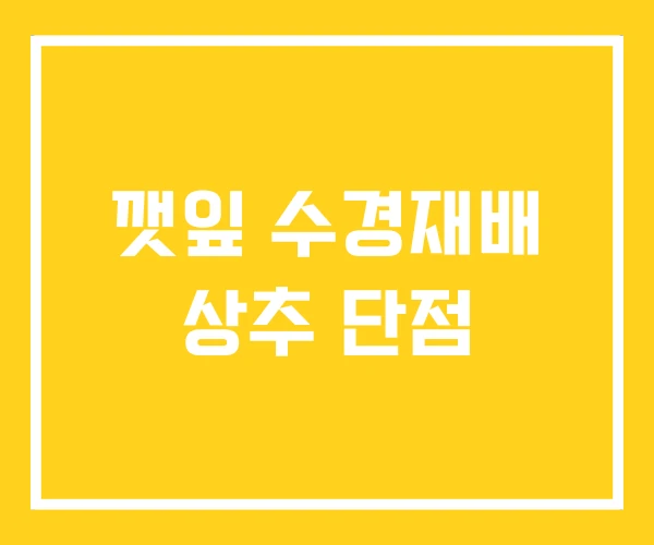 깻잎 수경재배 상추 단점 깻잎 수경재배 상추 단점