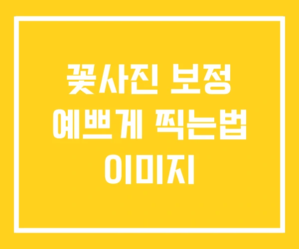 꽃사진 보정 예쁘게 찍는법 이미지 꽃사진 보정 예쁘게 찍는법 이미지