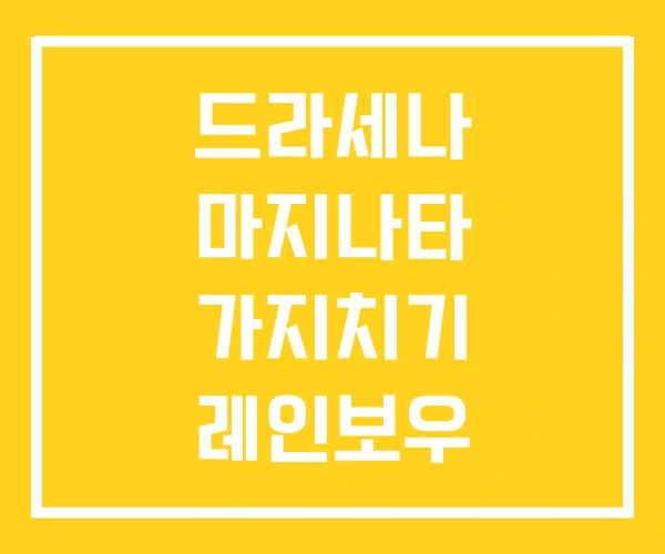 드라세나 마지나타 가지치기 레인보우