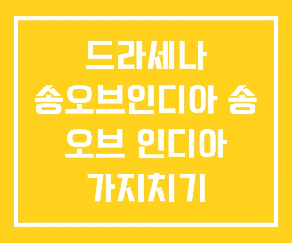 드라세나 송오브인디아 송 오브 인디아 가지치기
