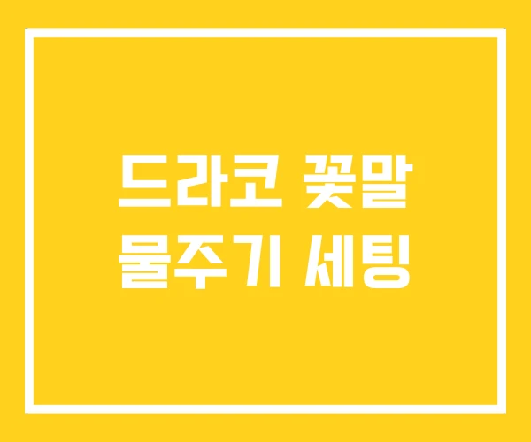 드라코 꽃말 물주기 세팅