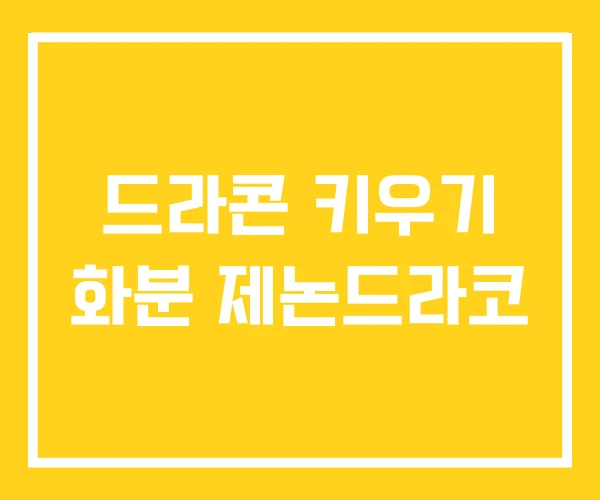 드라콘 키우기 화분 제논드라코 드라콘 키우기 화분 제논드라코