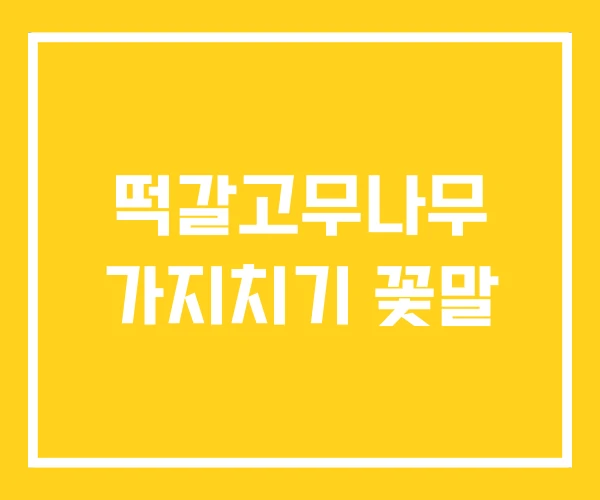 떡갈고무나무 가지치기 꽃말 떡갈고무나무 가지치기 꽃말