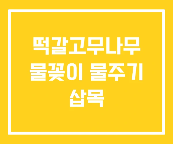 떡갈고무나무 물꽂이 물주기 삽목 떡갈고무나무 물꽂이 물주기 삽목