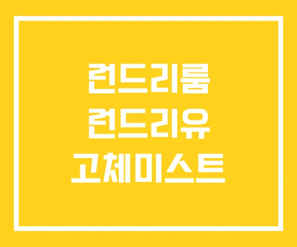 런드리룸 런드리유 고체미스트 런드리룸 런드리유 고체미스트