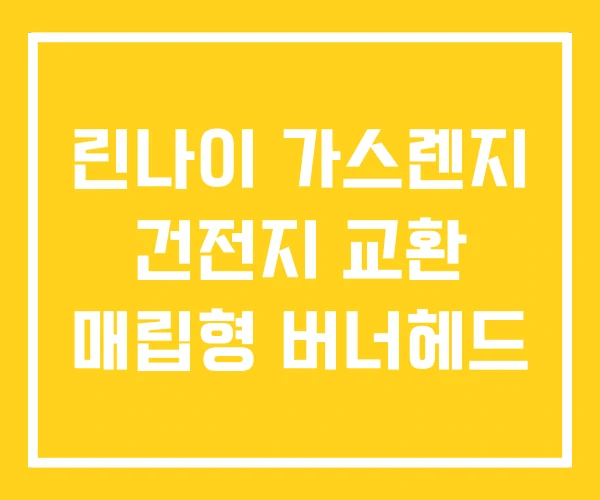 린나이 가스렌지 건전지 교환 매립형 버너헤드 린나이 가스렌지 건전지 교환 매립형 버너헤드