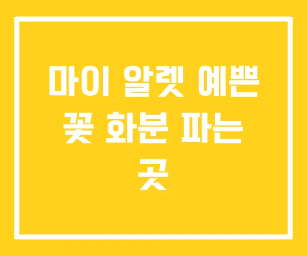 마이 알렛 예쁜 꽃 화분 파는 곳 마이 알렛 예쁜 꽃 화분 파는 곳