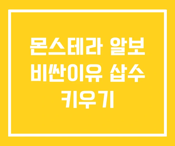 몬스테라 알보 비싼이유 삽수 키우기