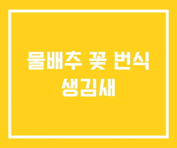 물배추 꽃 번식 생김새