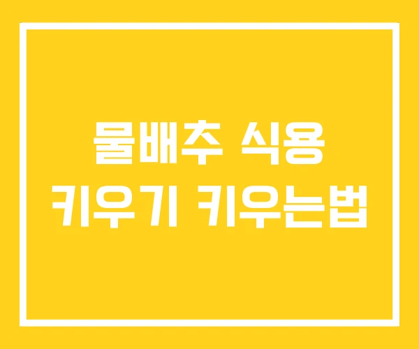 물배추 식용 키우기 키우는법