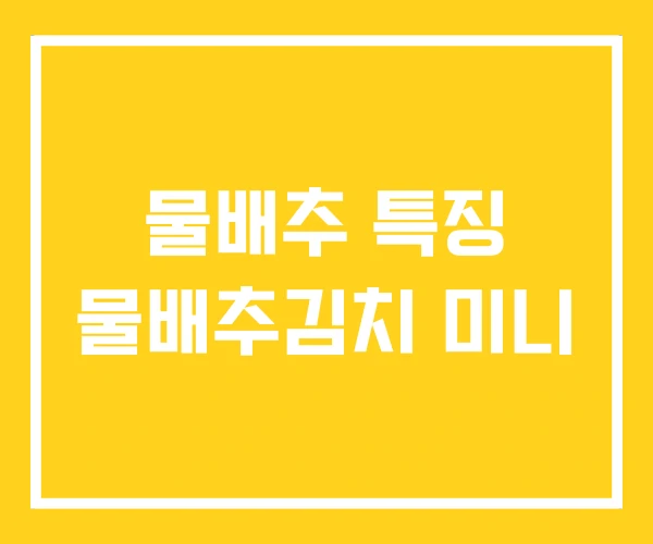 물배추 특징 물배추김치 미니 물배추 특징 물배추김치 미니