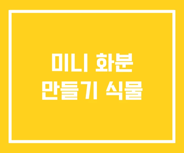 미니 화분 만들기 식물 미니 화분 만들기 식물