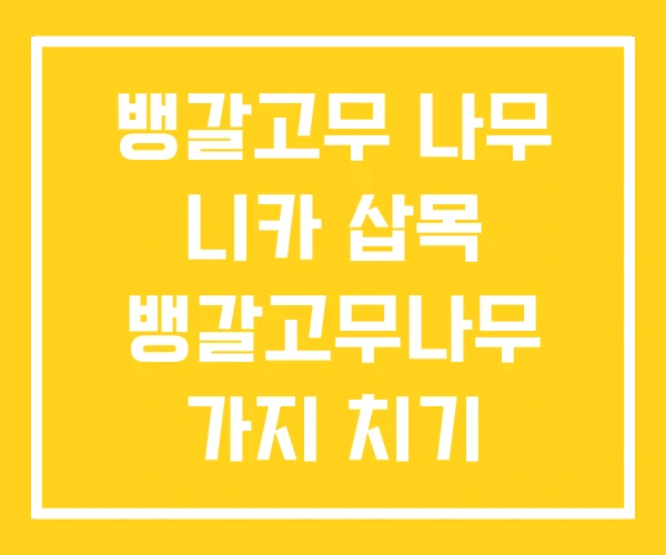 뱅갈고무 나무 니카 삽목 뱅갈고무나무 가지 치기