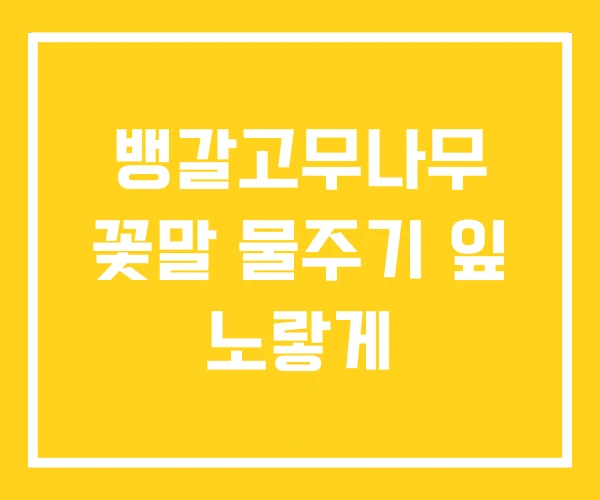 뱅갈고무나무 꽃말 물주기 잎 노랗게