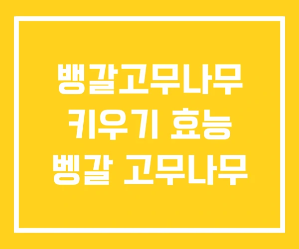 뱅갈고무나무 키우기 효능 벵갈 고무나무 뱅갈고무나무 키우기 효능 벵갈 고무나무