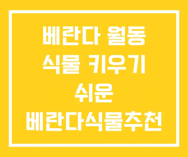 베란다 월동 식물 키우기 쉬운 베란다식물추천 베란다 월동 식물 키우기 쉬운 베란다식물추천