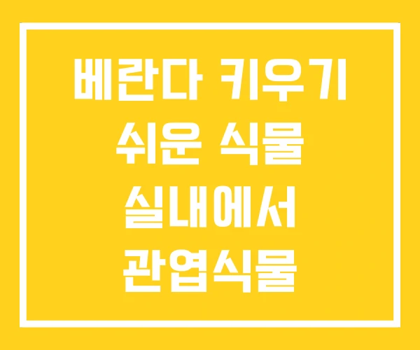 베란다 키우기 쉬운 식물 실내에서 관엽식물 베란다 키우기 쉬운 식물 실내에서 관엽식물