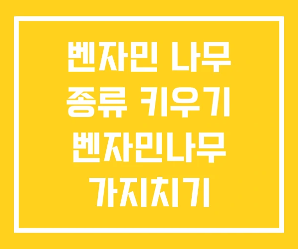 벤자민 나무 종류 키우기 벤자민나무 가지치기 벤자민 나무 종류 키우기 벤자민나무 가지치기