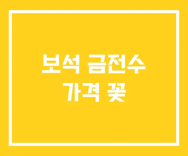 보석 금전수 가격 꽃