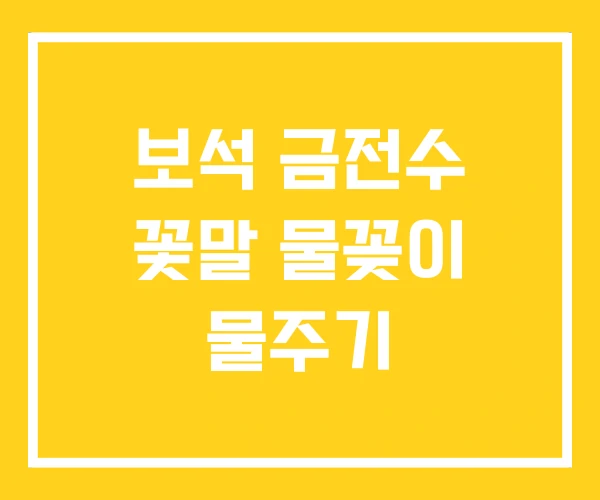 보석 금전수 꽃말 물꽂이 물주기