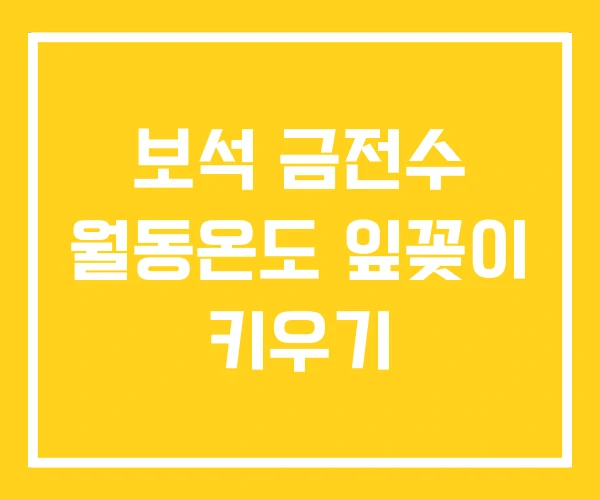 보석 금전수 월동온도 잎꽂이 키우기 보석 금전수 월동온도 잎꽂이 키우기