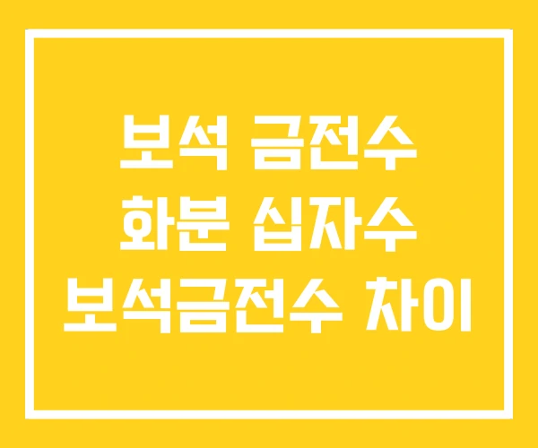 보석 금전수 화분 십자수 보석금전수 차이 보석 금전수 화분 십자수 보석금전수 차이