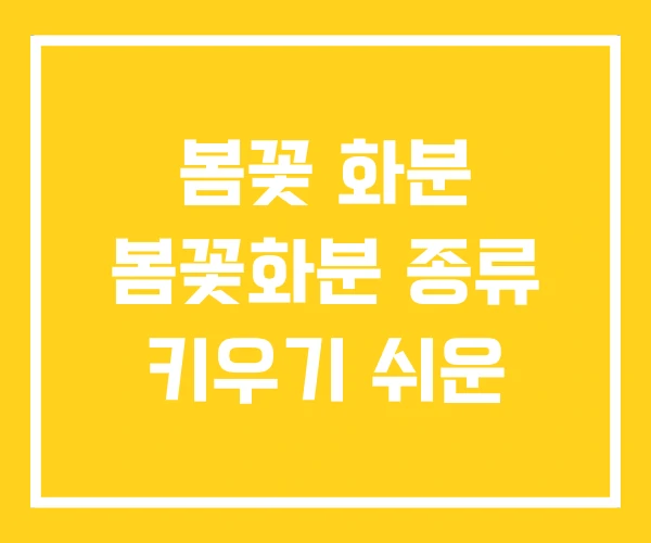 봄꽃 화분 봄꽃화분 종류 키우기 쉬운 봄꽃 화분 봄꽃화분 종류 키우기 쉬운