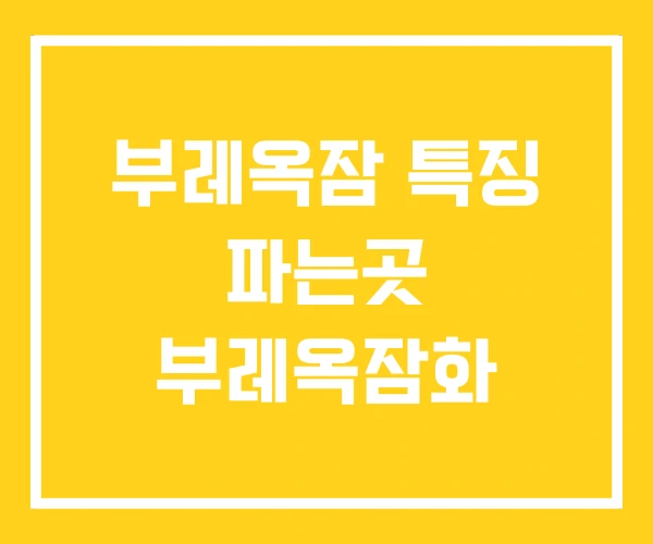 부레옥잠 특징 파는곳 부레옥잠화 부레옥잠 특징 파는곳 부레옥잠화