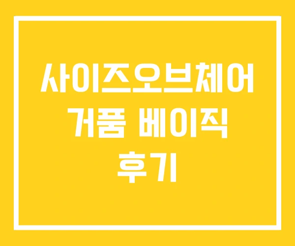 사이즈오브체어 거품 베이직 후기 사이즈오브체어 거품 베이직 후기