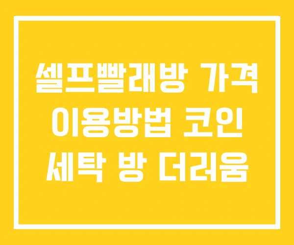 셀프빨래방 가격 이용방법 코인 세탁 방 더러움