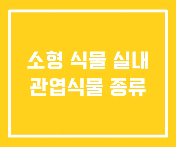 소형 식물 실내 관엽식물 종류