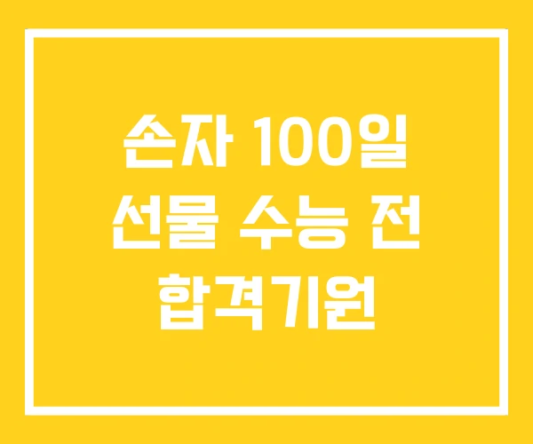손자 100일 선물 수능 전 합격기원