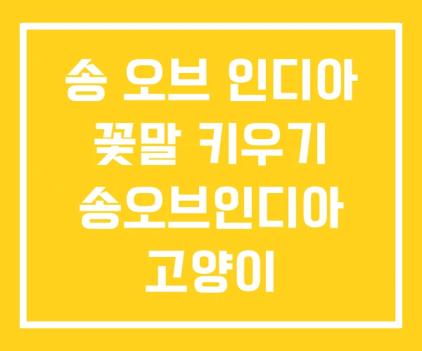 송 오브 인디아 꽃말 키우기 송오브인디아 고양이
