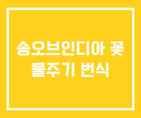 송오브인디아 꽃 물주기 번식