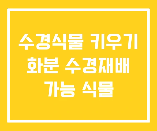 수경식물 키우기 화분 수경재배 가능 식물 수경식물 키우기 화분 수경재배 가능 식물