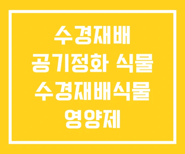 수경재배 공기정화 식물 수경재배식물 영양제