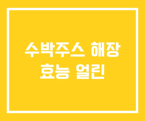 수박주스 해장 효능 얼린 수박주스 해장 효능 얼린