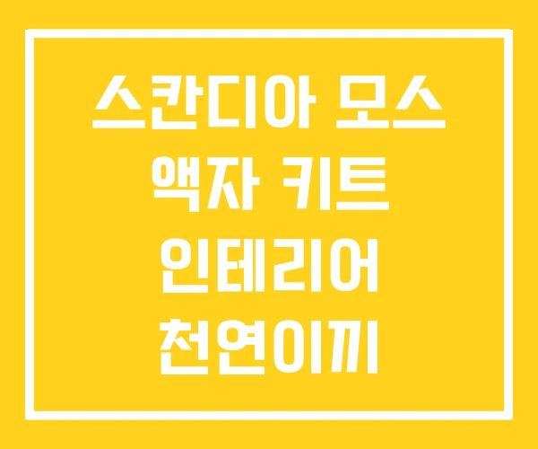 스칸디아 모스 액자 키트 인테리어 천연이끼