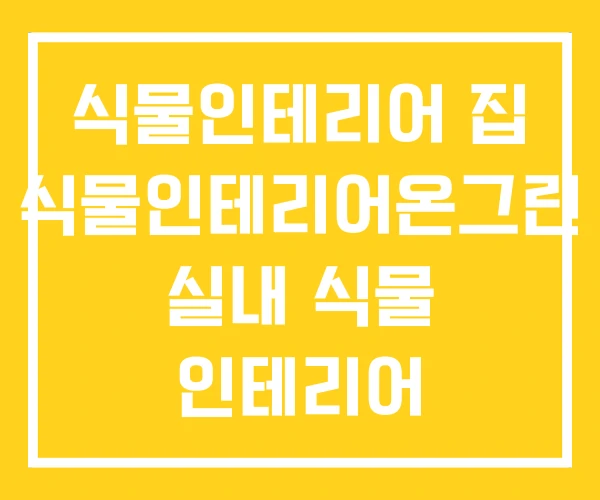 식물인테리어 집 식물인테리어온그린 실내 식물 인테리어