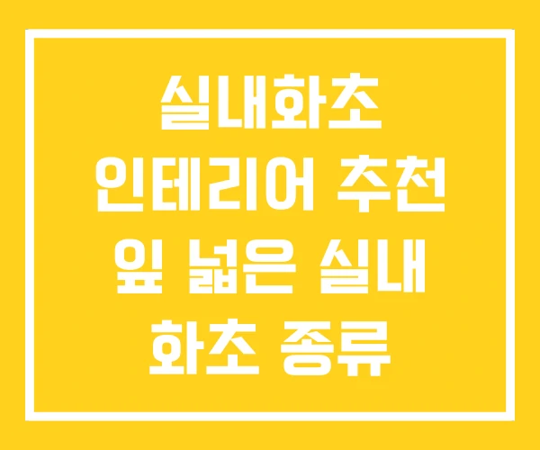 실내화초 인테리어 추천 잎 넓은 실내 화초 종류