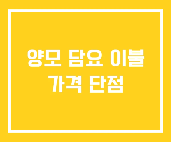 양모 담요 이불 가격 단점