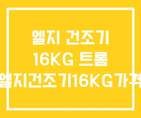 엘지 건조기 16KG 트롬 엘지건조기16KG가격